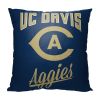 UC Davis Alumni Pillow